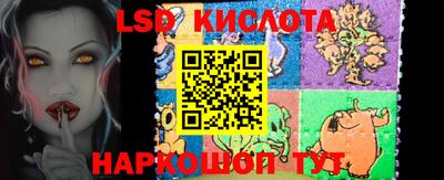 шишки Аша