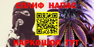 шишки Аша
