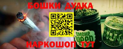 шишки Аша