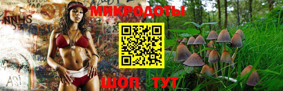 Псилоцибиновые грибы мицелий  где продают наркотики  Артёмовский  Вход с VPN 