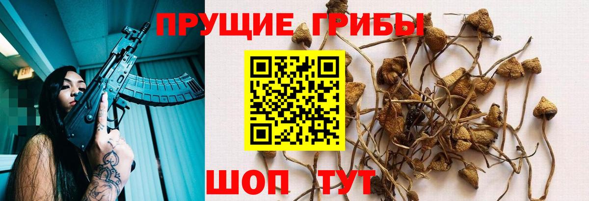 Псилоцибиновые грибы MAGIC MUSHROOMS Артёмовский